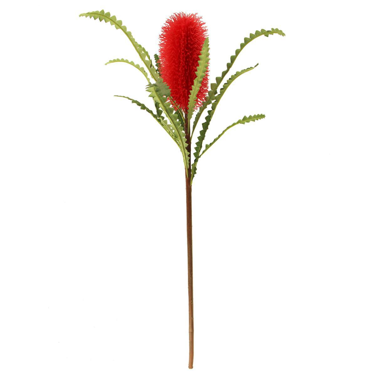 Red Ashby's Banksia Stems 3 Pack Red – image 3