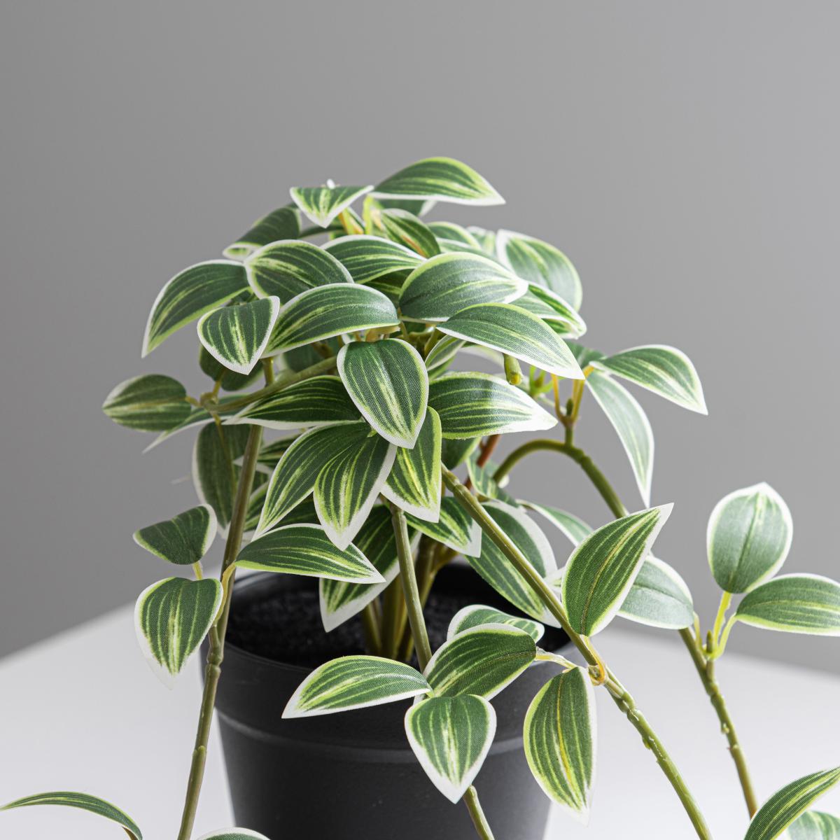 Artificial Trailing Tradescantia in Pot Green – image 2