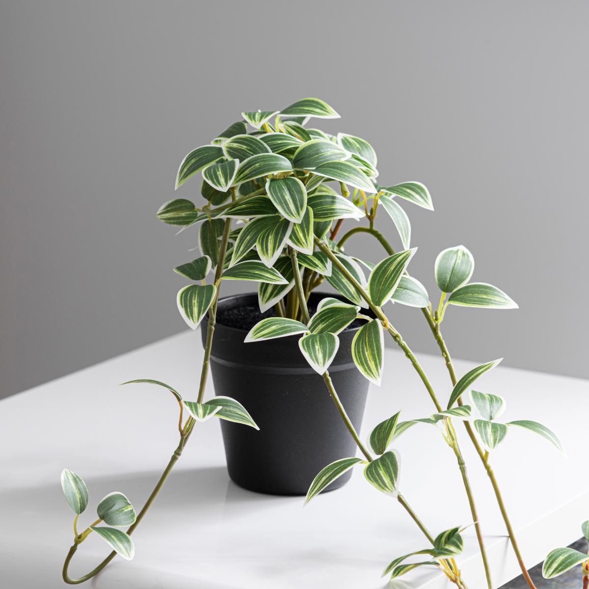 Artificial Trailing Tradescantia in Pot Green – image 3