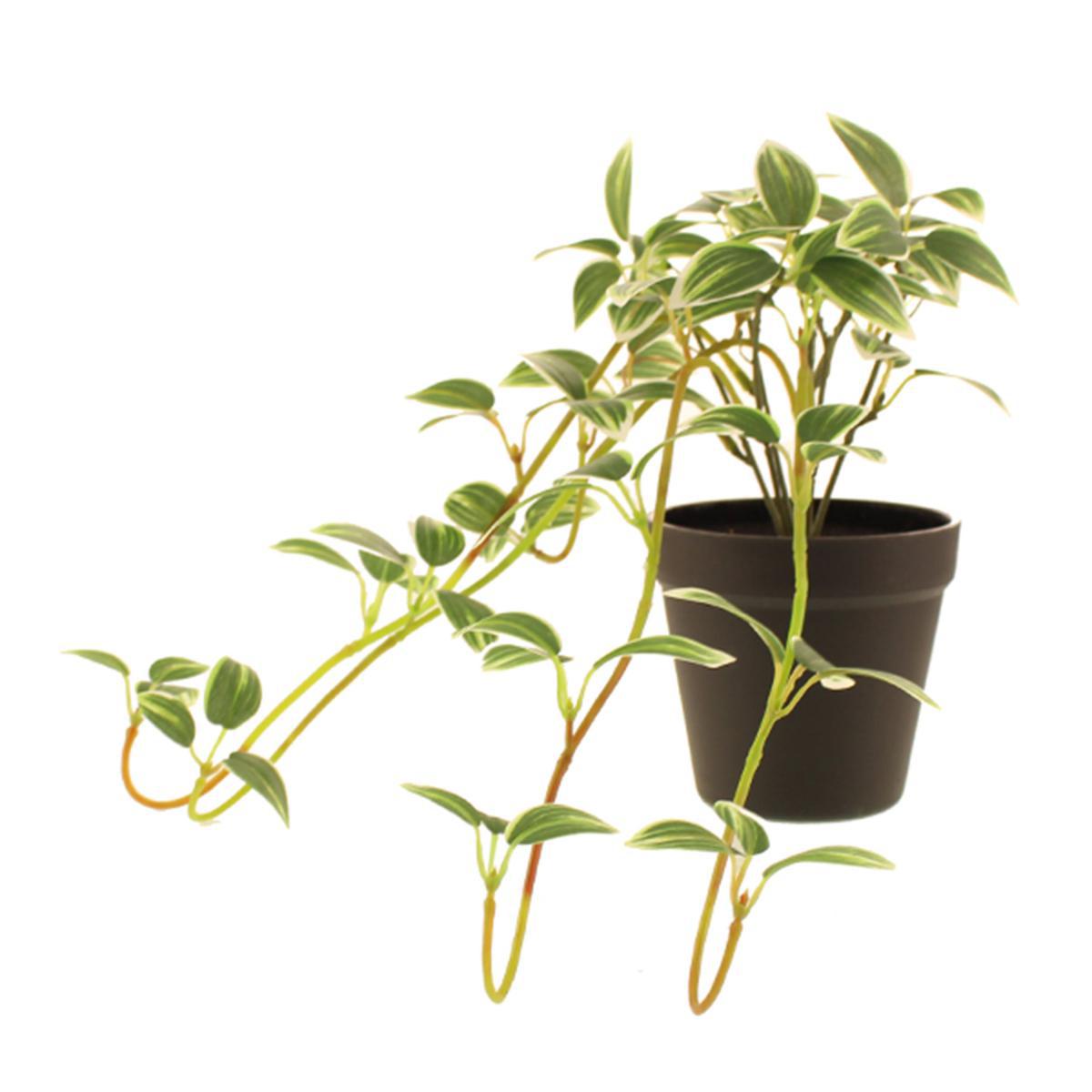 Artificial Trailing Tradescantia in Pot Green – image 4