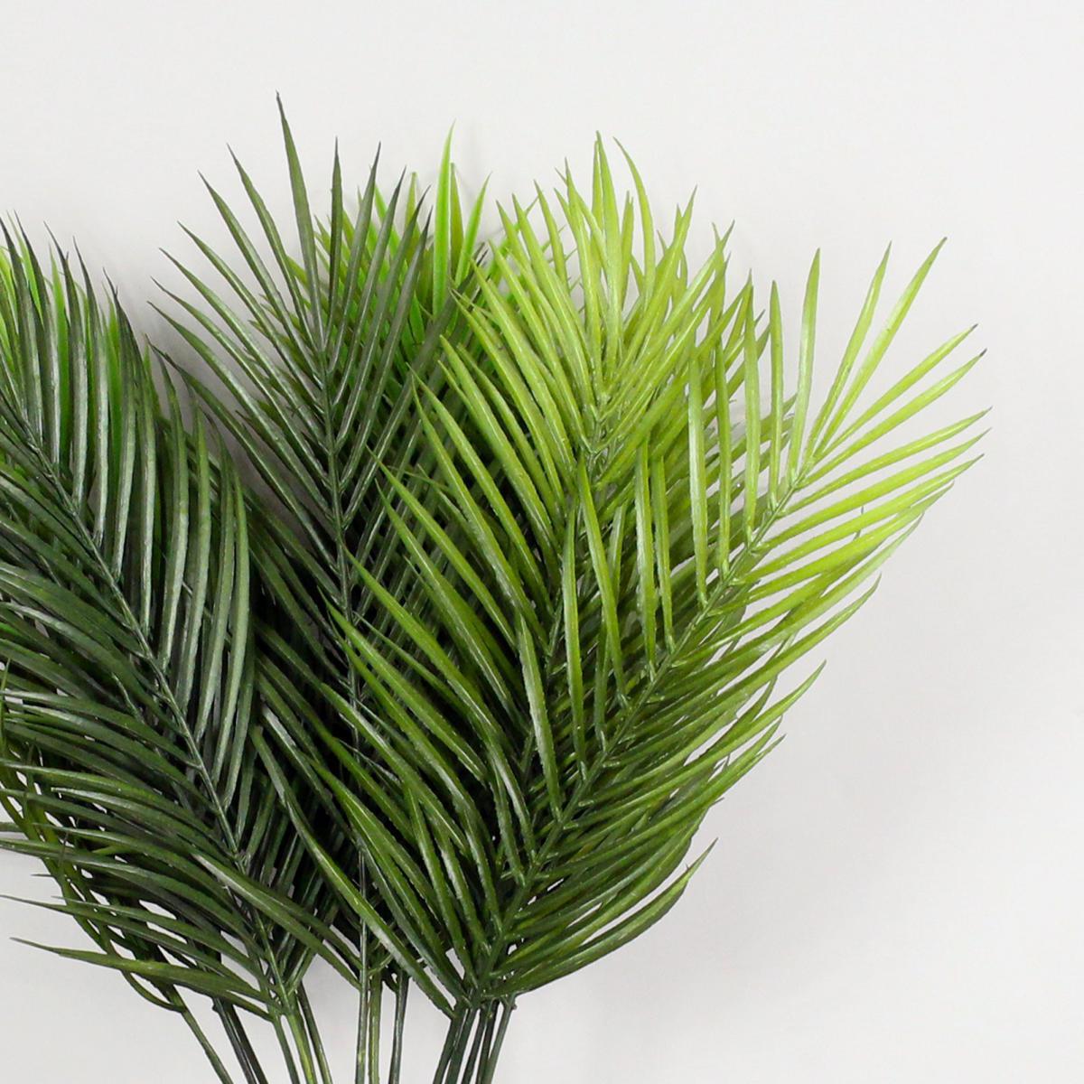 Green Palm Bundle 6 Pack Green – image 2