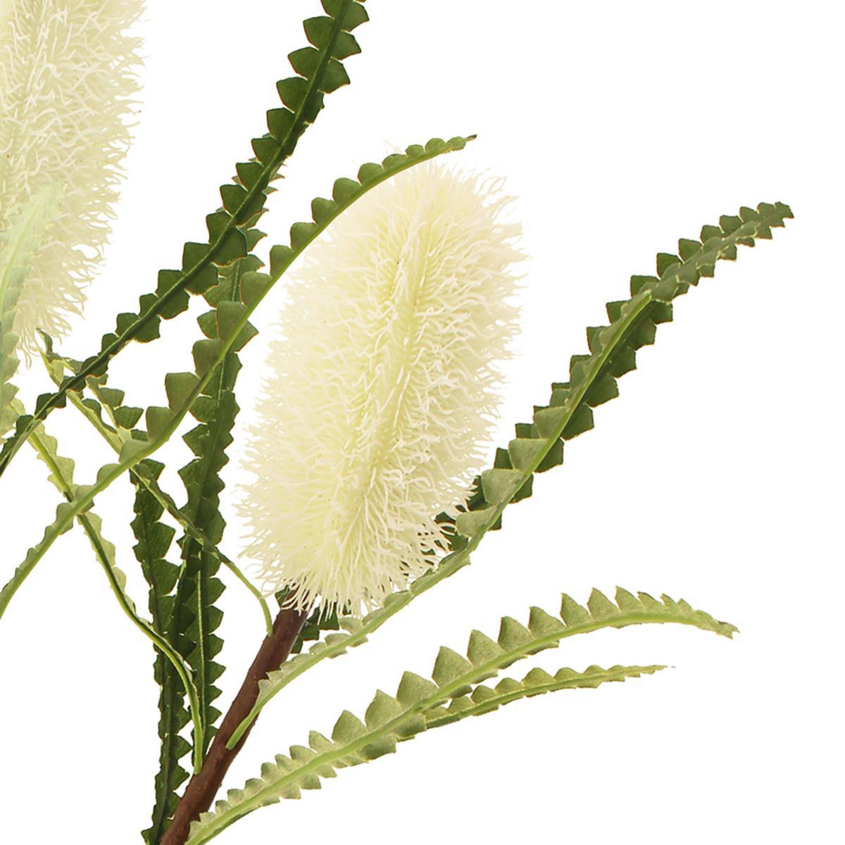 Cream Ashby's Banksia Stem 3 Pack Off-White – image 2