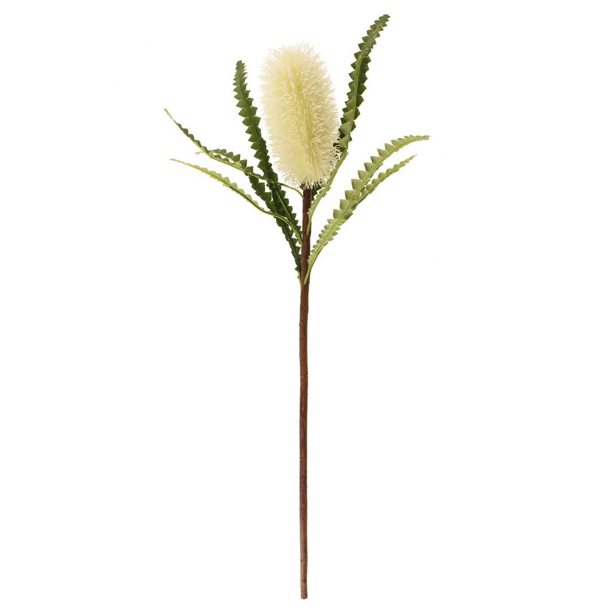 Cream Ashby's Banksia Stem 3 Pack Off-White – image 3