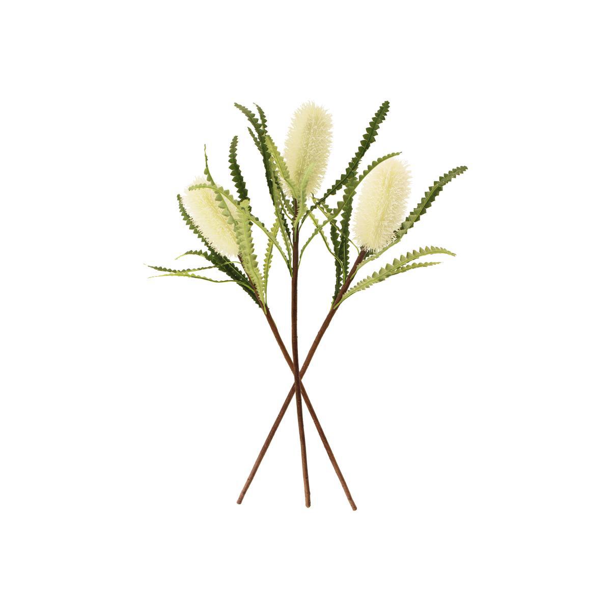 Cream Ashby's Banksia Stem 3 Pack Off-White – image 1