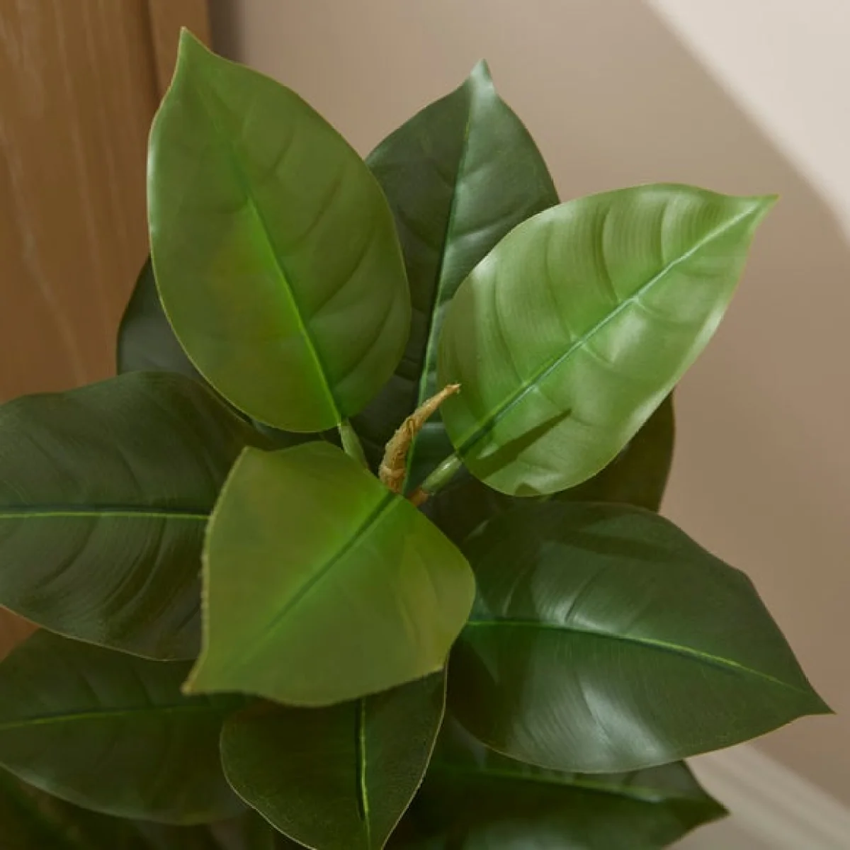 Artificial Rubber Plant in Black Plastic Plant Pot – image 2