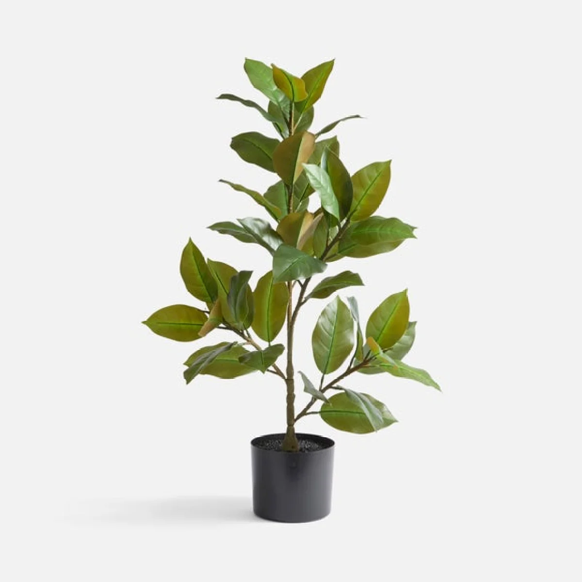 Artificial Rubber Plant in Black Plastic Plant Pot – image 3