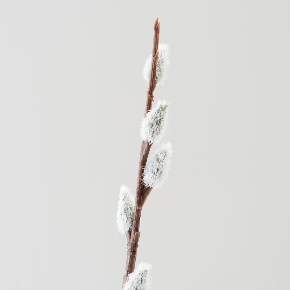 Pussy Willow White Stem 100cm Brown – image 2