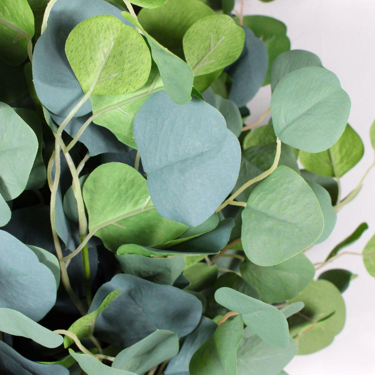 Green Dollar Eucalyptus Stems 12 Pack Green – image 2