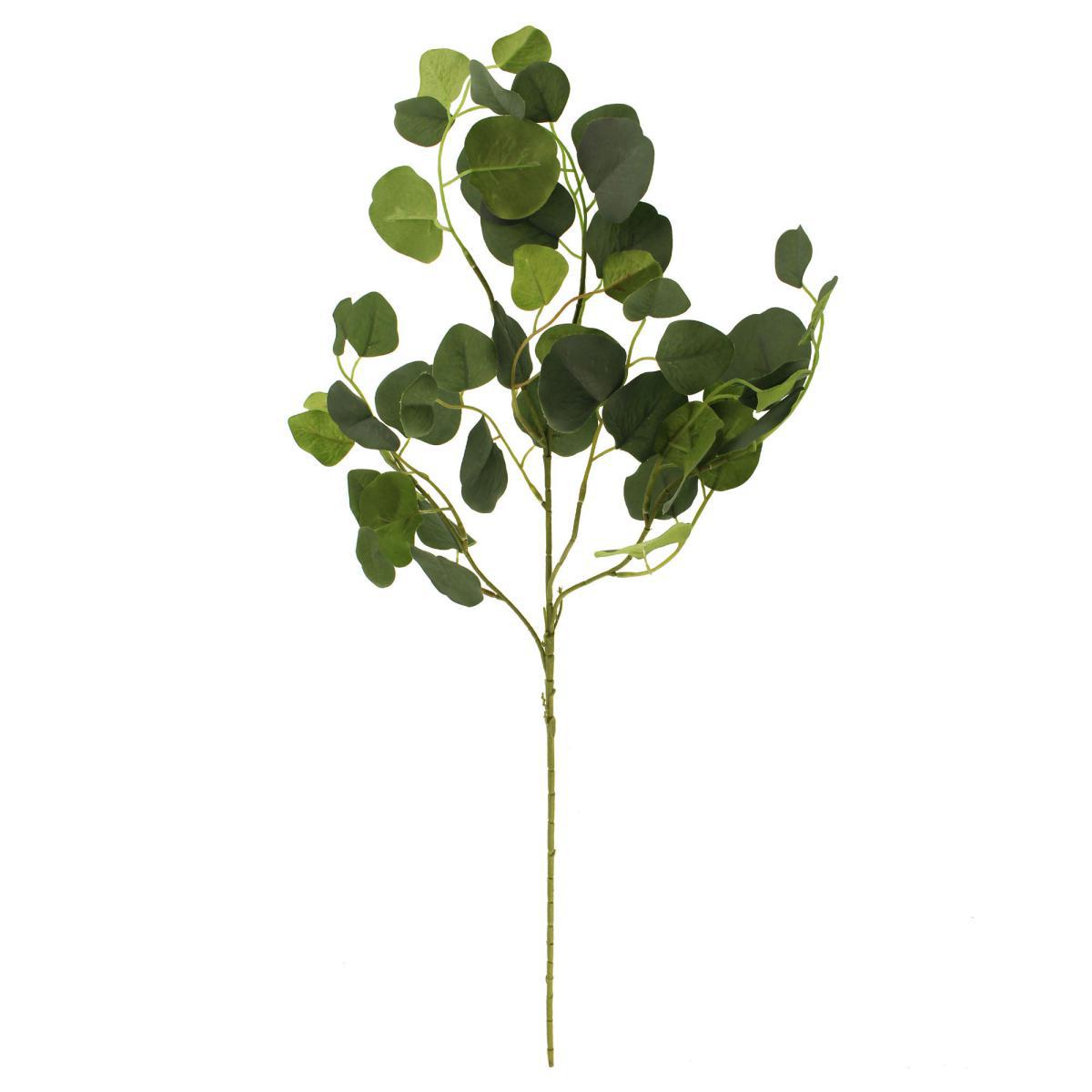 Green Dollar Eucalyptus Stems 12 Pack Green – image 3