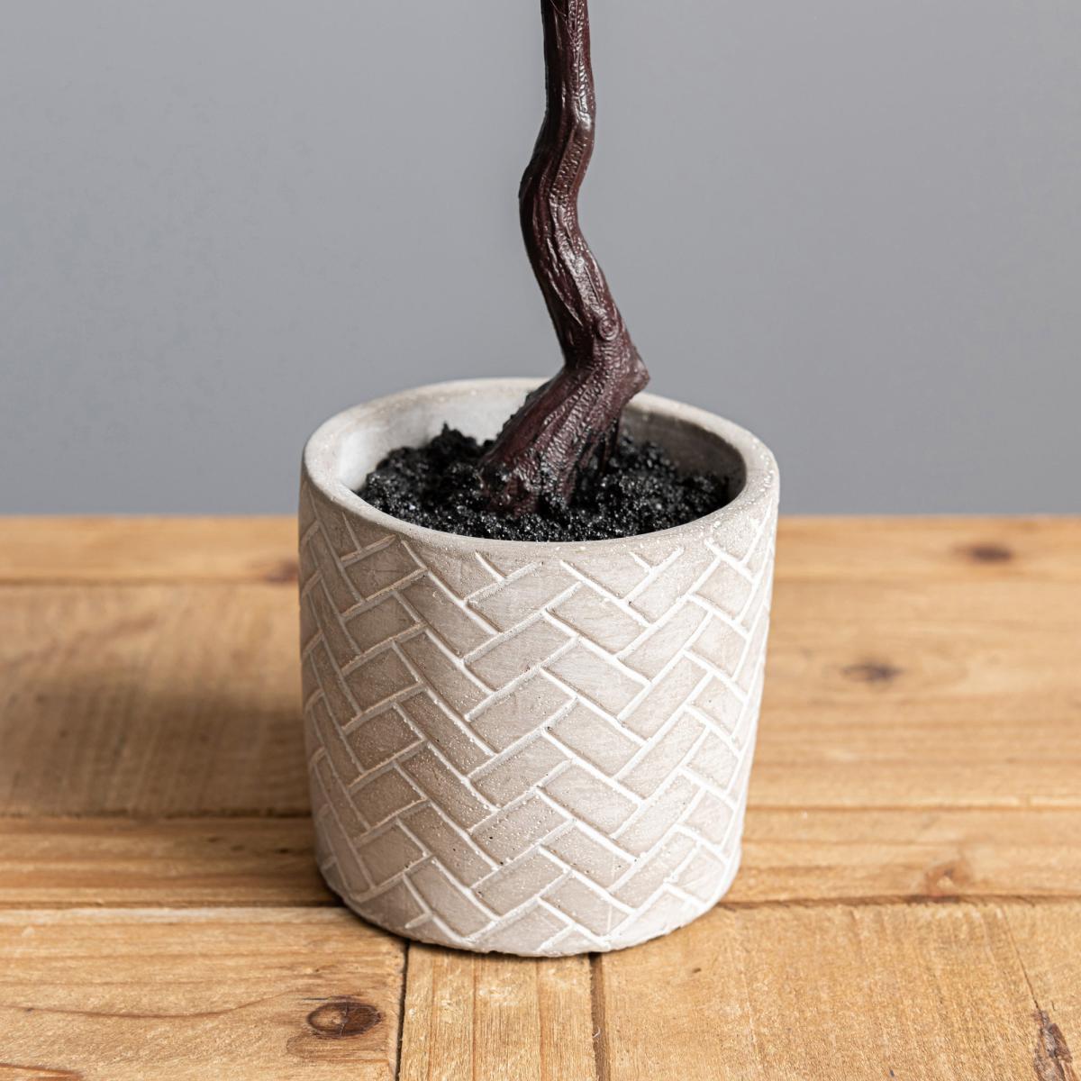 Lemon Leaf in Concrete Pot 59cm Green – image 3