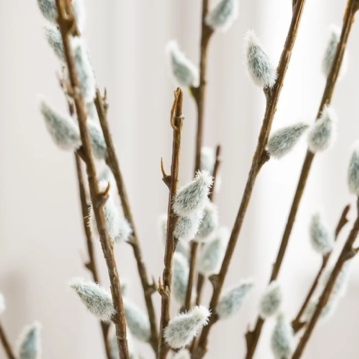 Artificial Pussy Willow Bundle – image 1