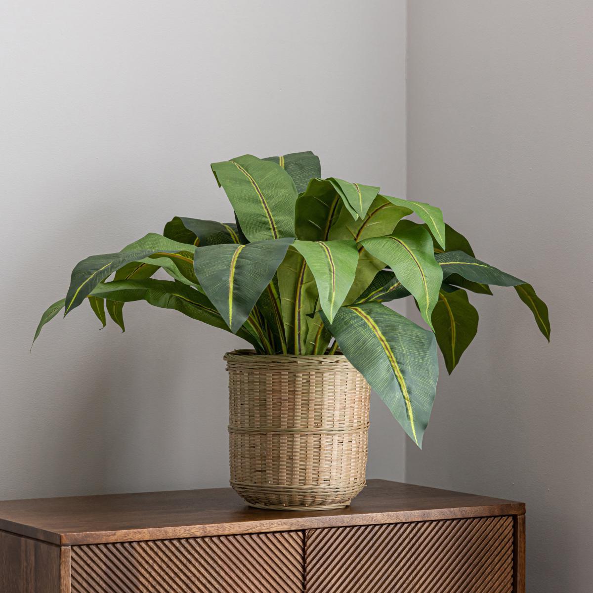 Tropical Leaf in Bamboo Basket Natural – image 4
