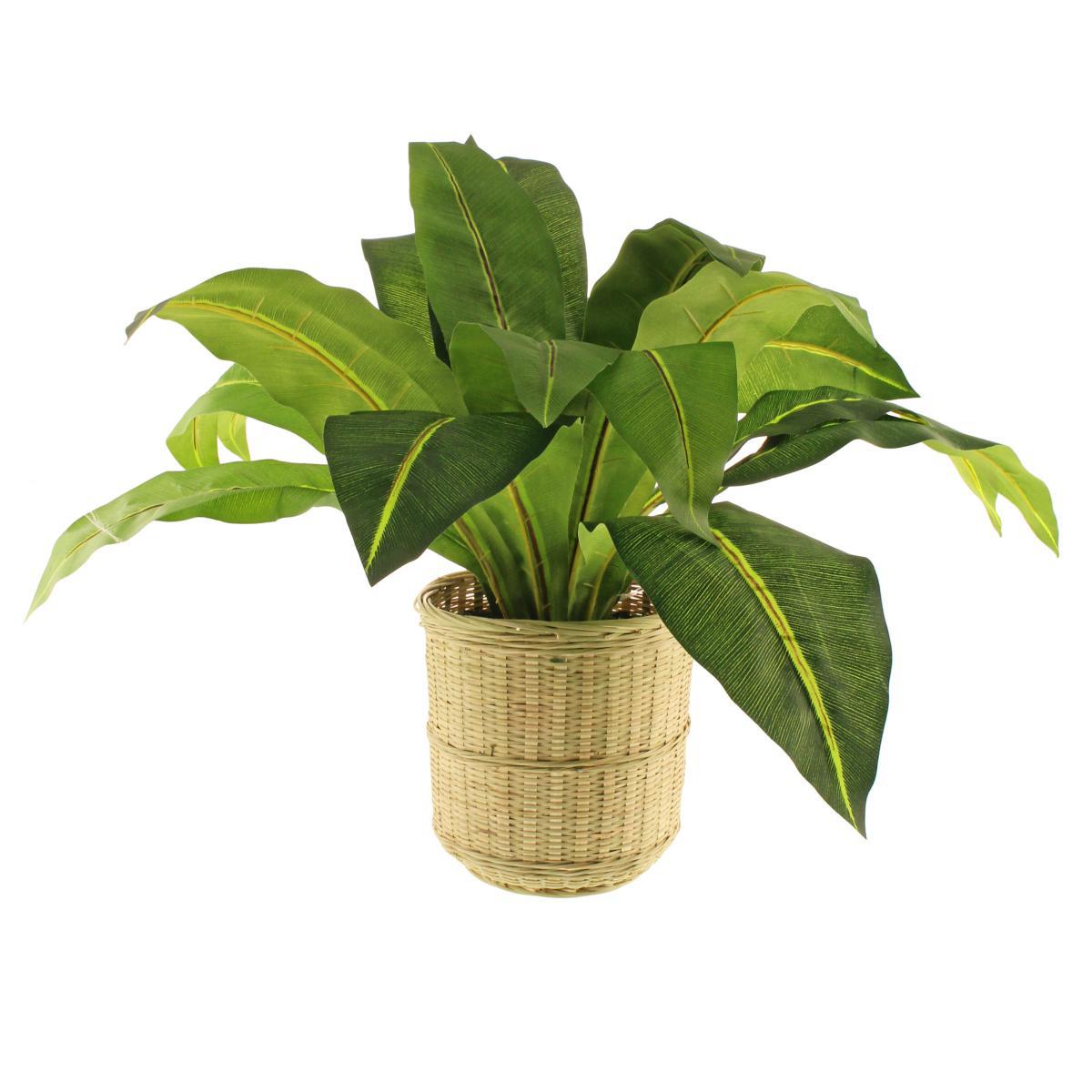 Tropical Leaf in Bamboo Basket Natural – image 5