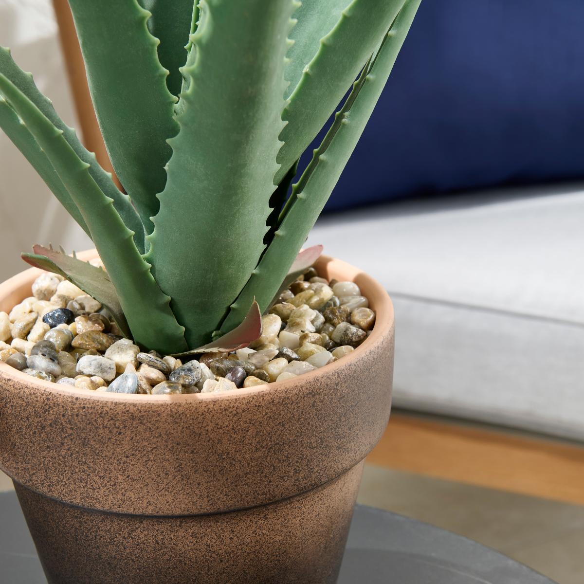 Large Cactus 40cm Green – image 2