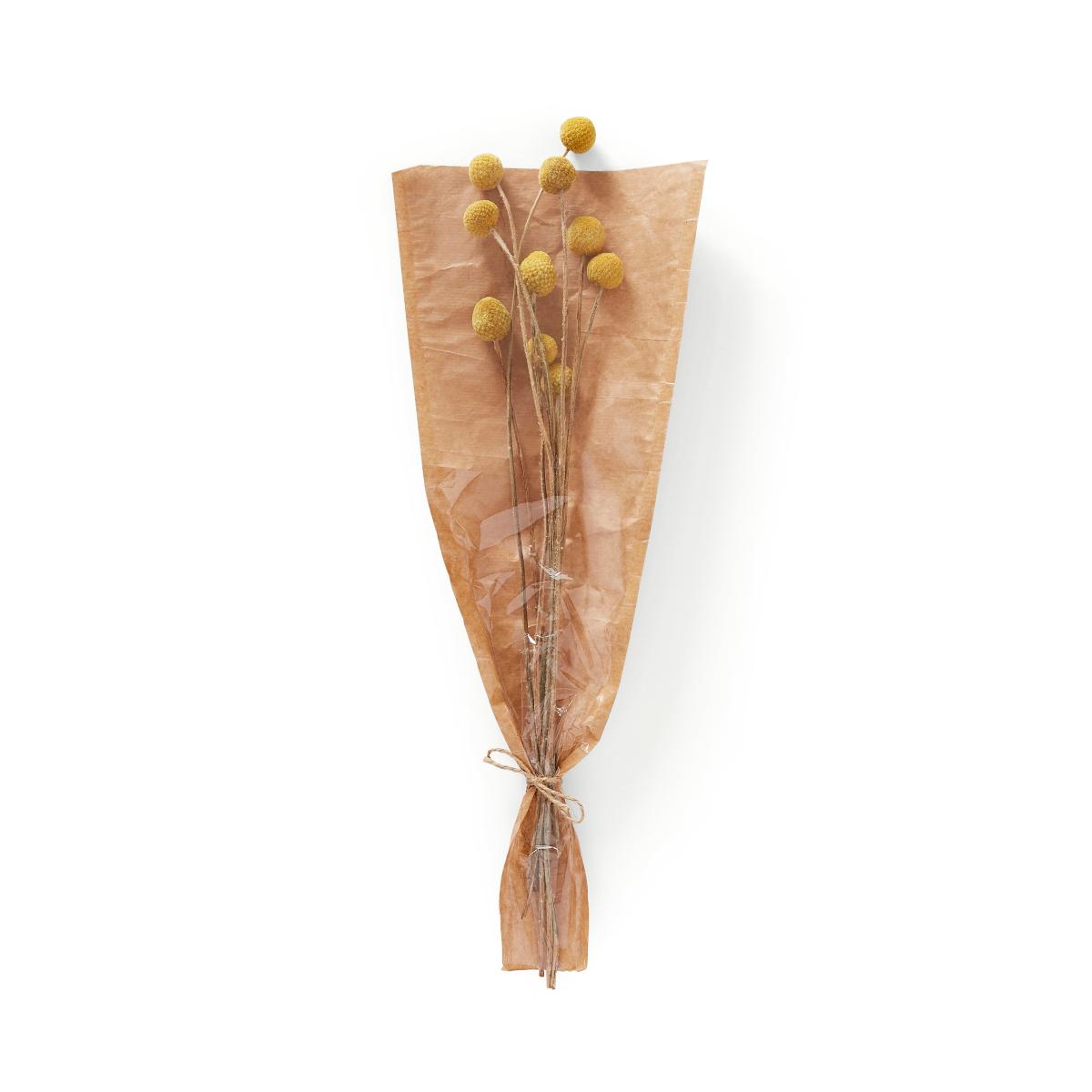Dried Yellow Craspedia Bouquet Yellow – image 3