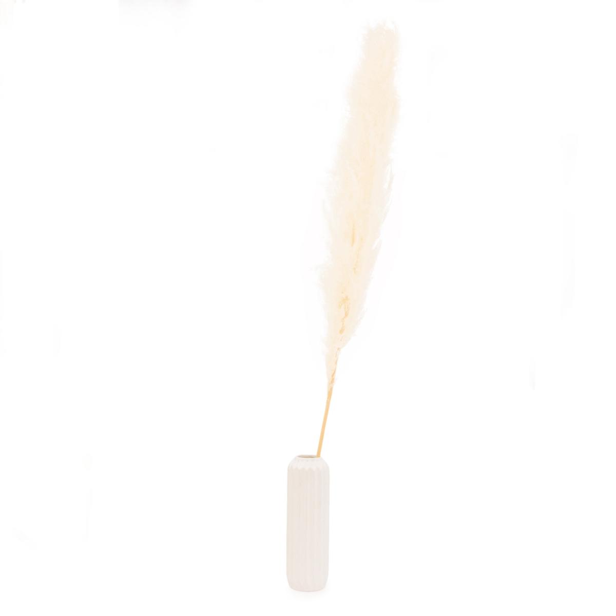 White 145cm Real Pampas Grass Stem White – image 2