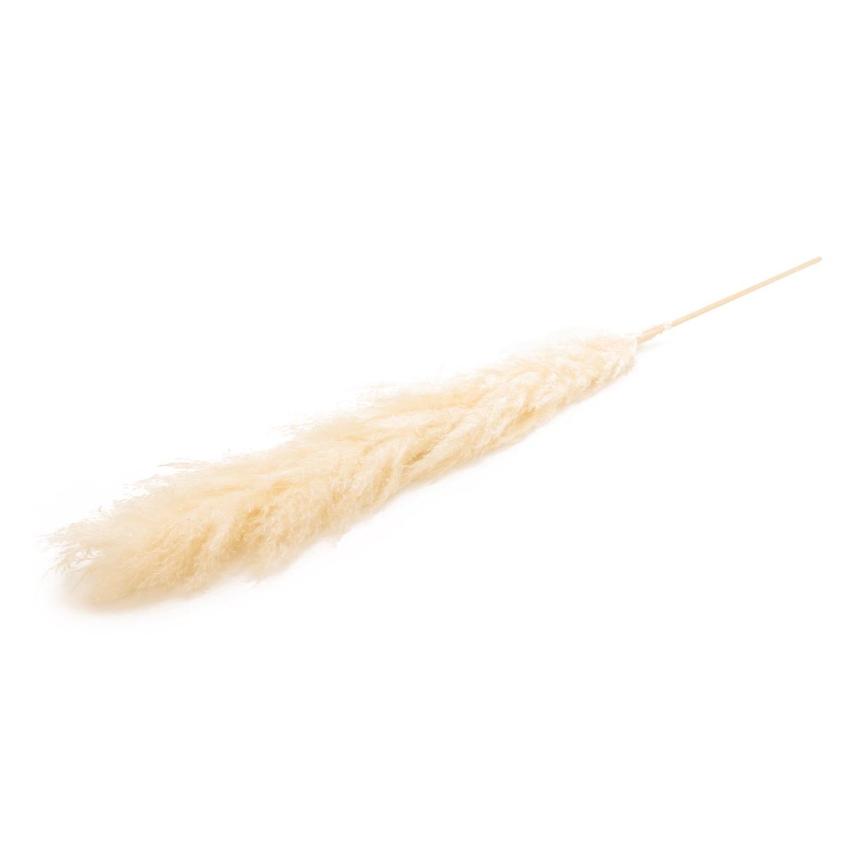 White 145cm Real Pampas Grass Stem White – image 3