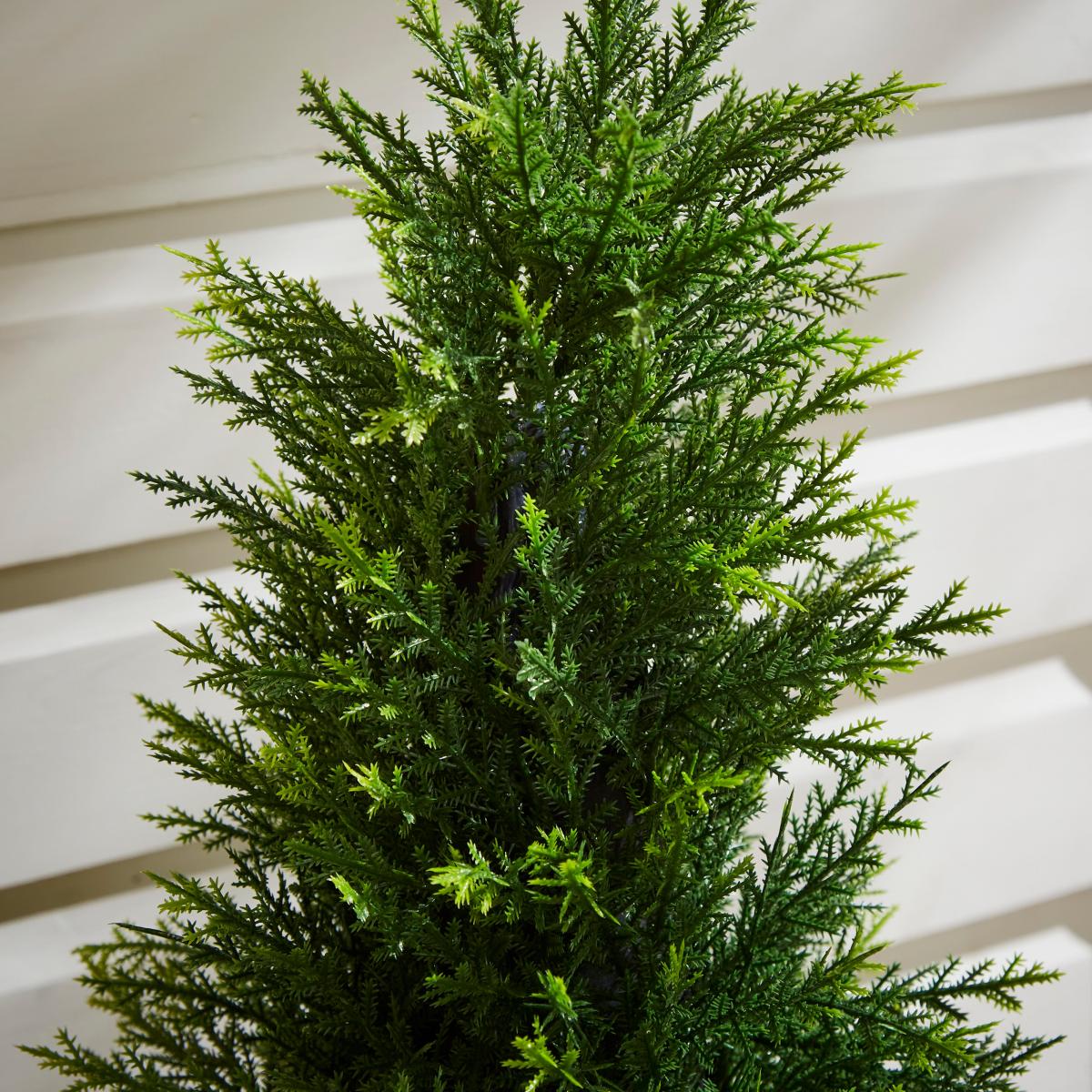 Cypress Tree in Cement Pot Green – image 3
