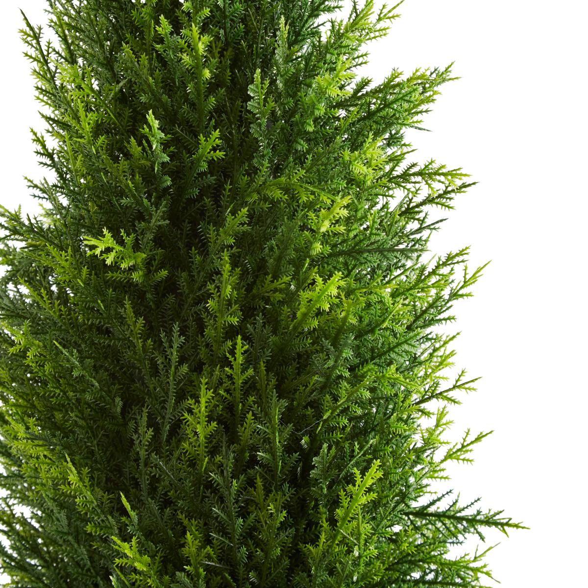 Cypress Tree in Cement Pot Green – image 4