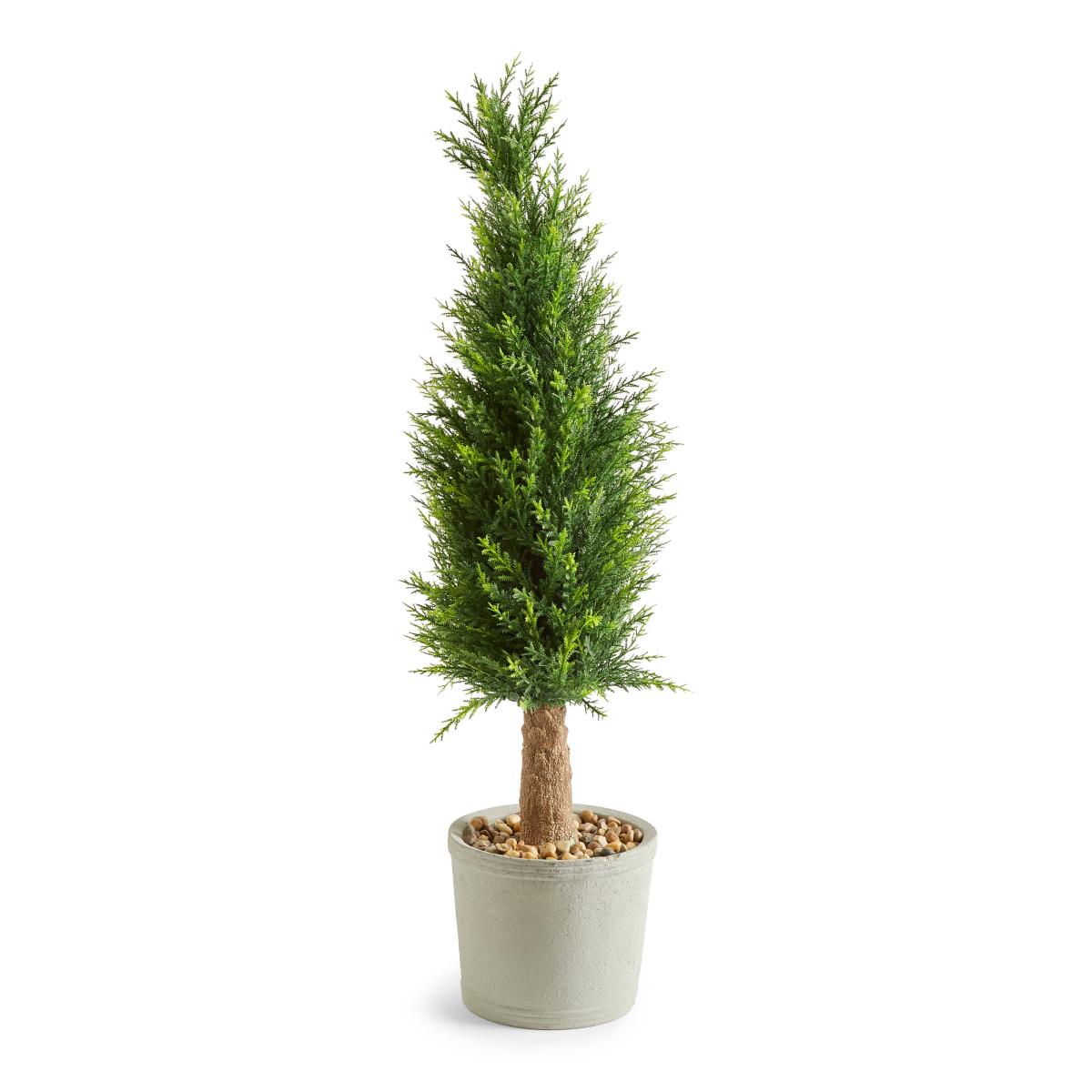 Cypress Tree in Cement Pot Green – image 5