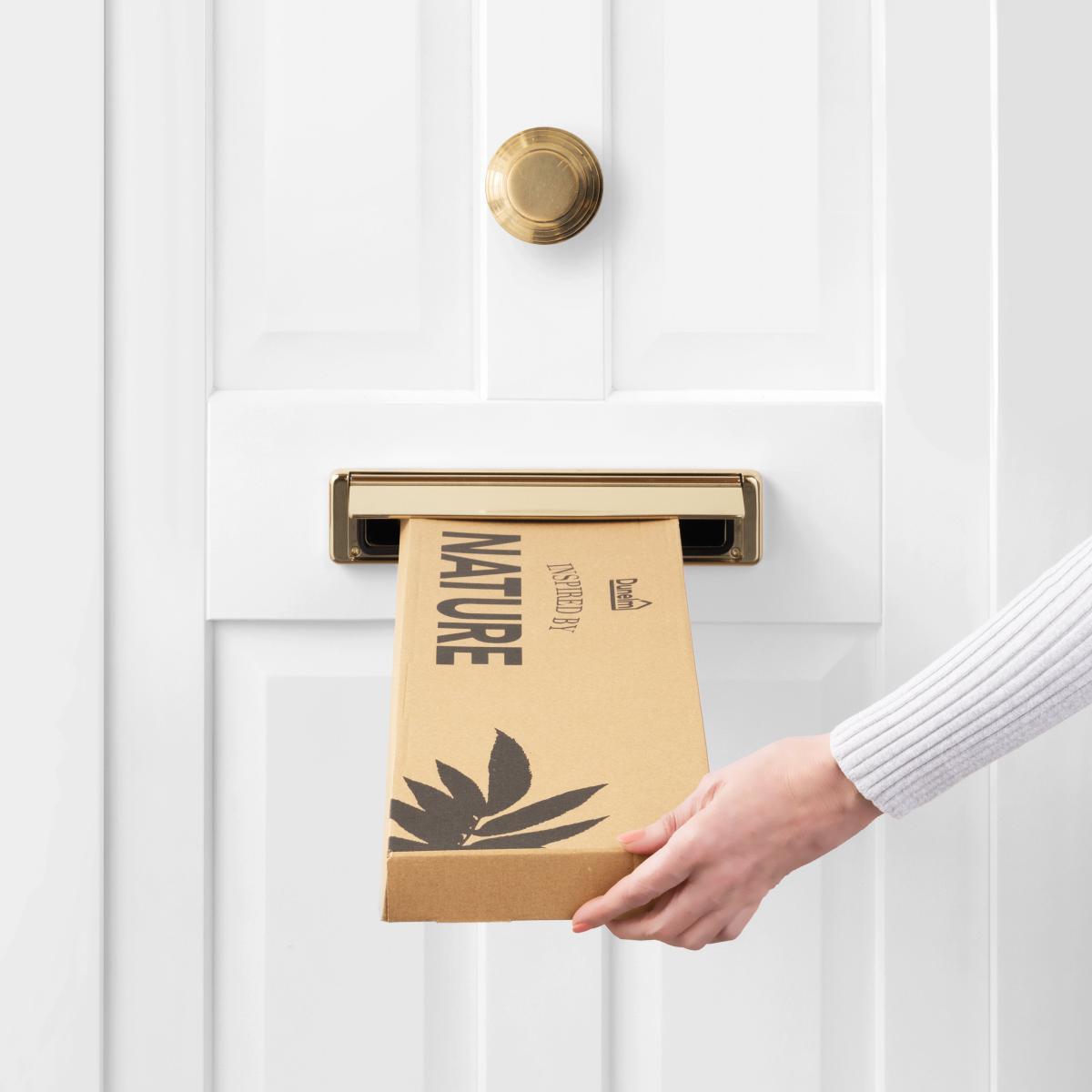 Daisy and Delphinium Letterbox Bouquet Green – image 5