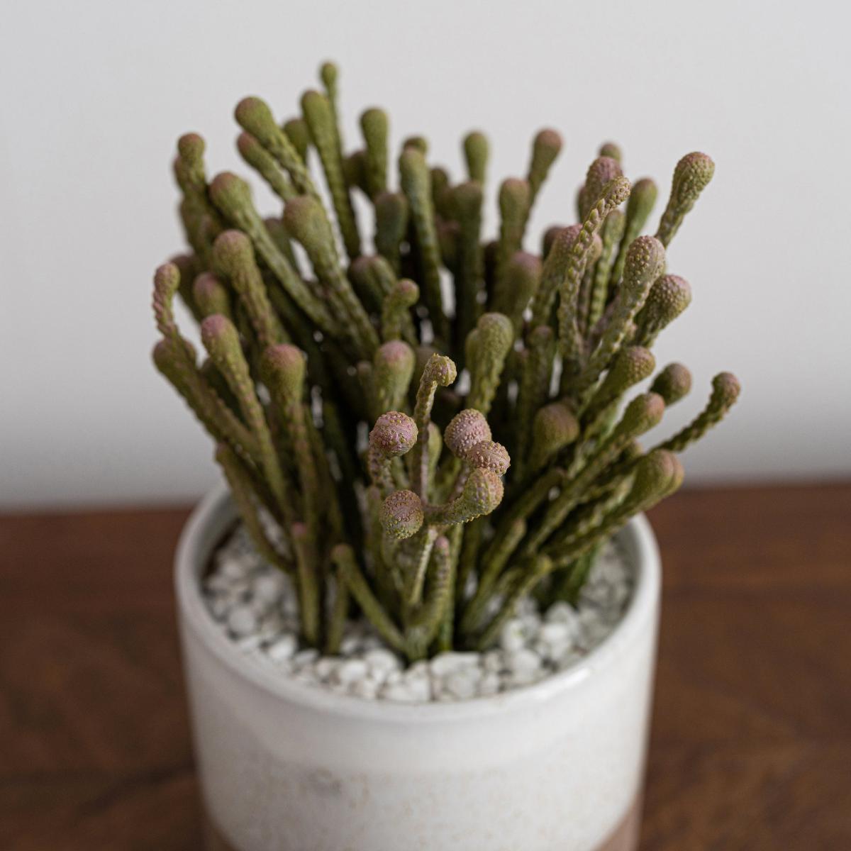 Coastal Artificial Brunia in Two Tone Ceramic Pot Green – image 2
