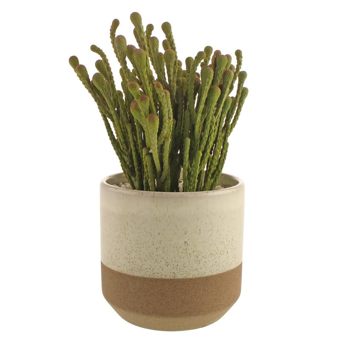 Coastal Artificial Brunia in Two Tone Ceramic Pot Green – image 4