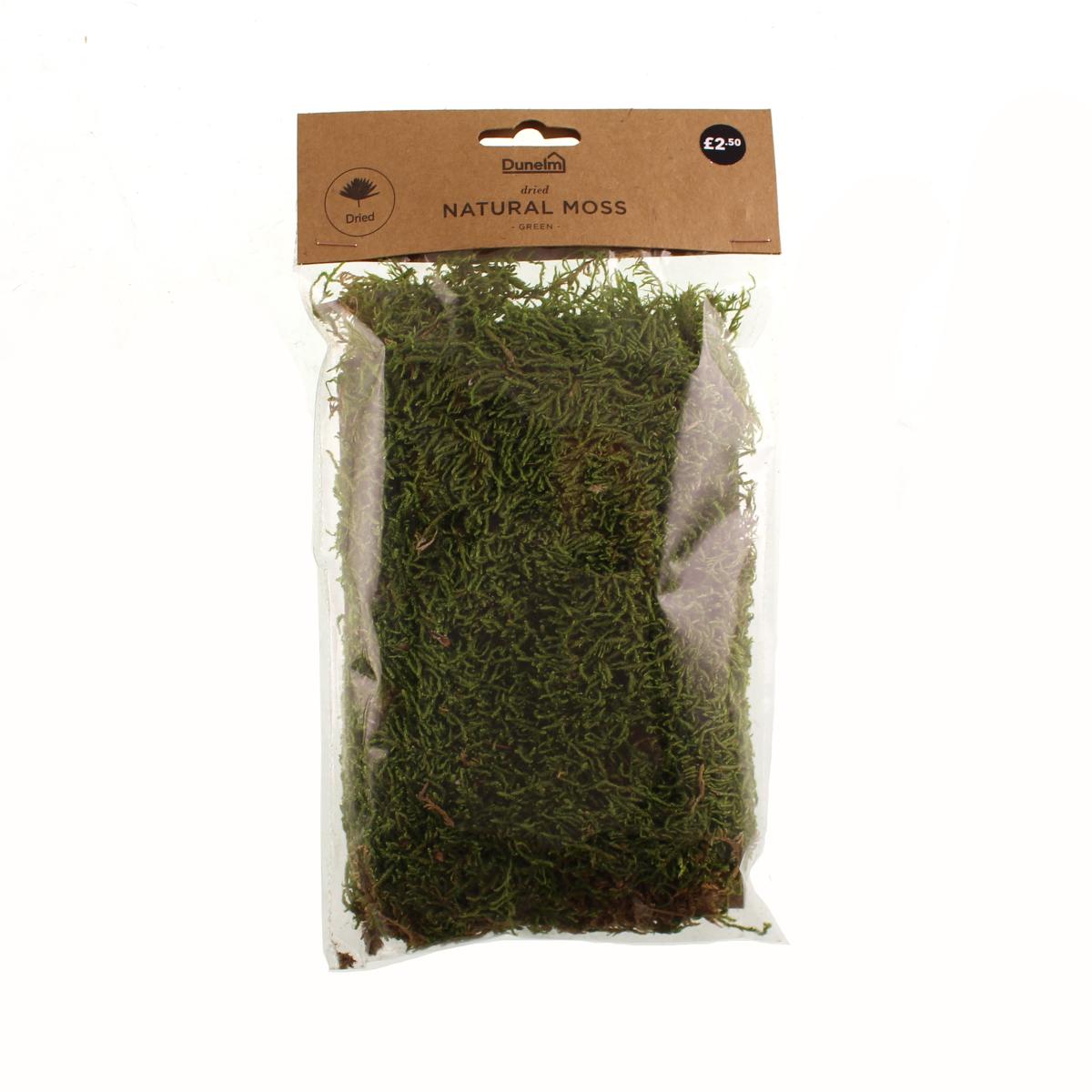 Natural Dried Moss 30g Green – image 4