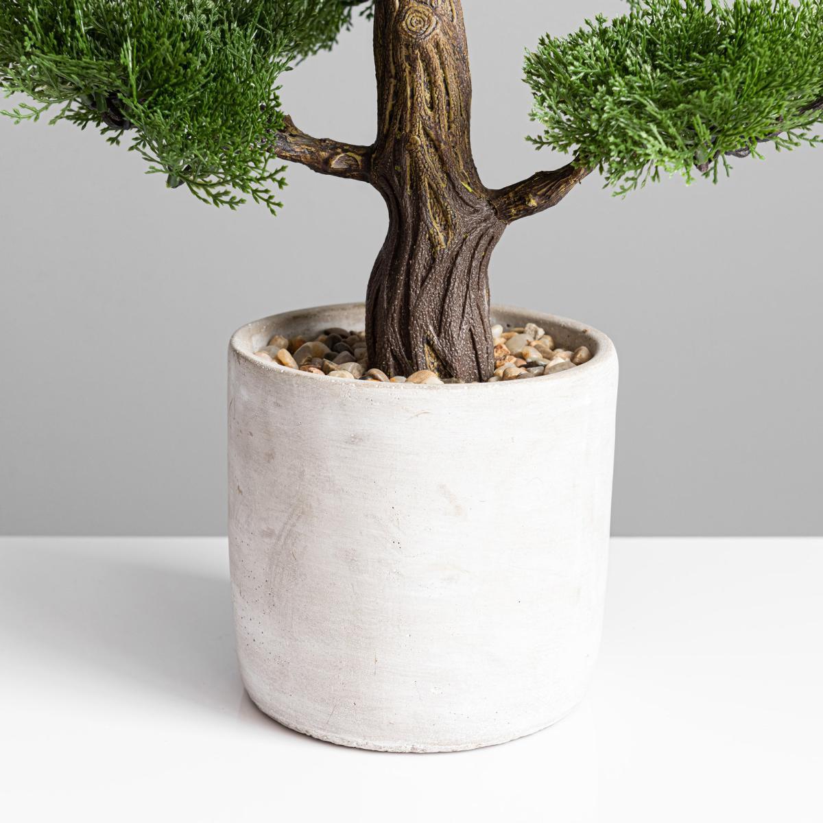 Bonsai Tree in Concrete Planter 53cm Green – image 3