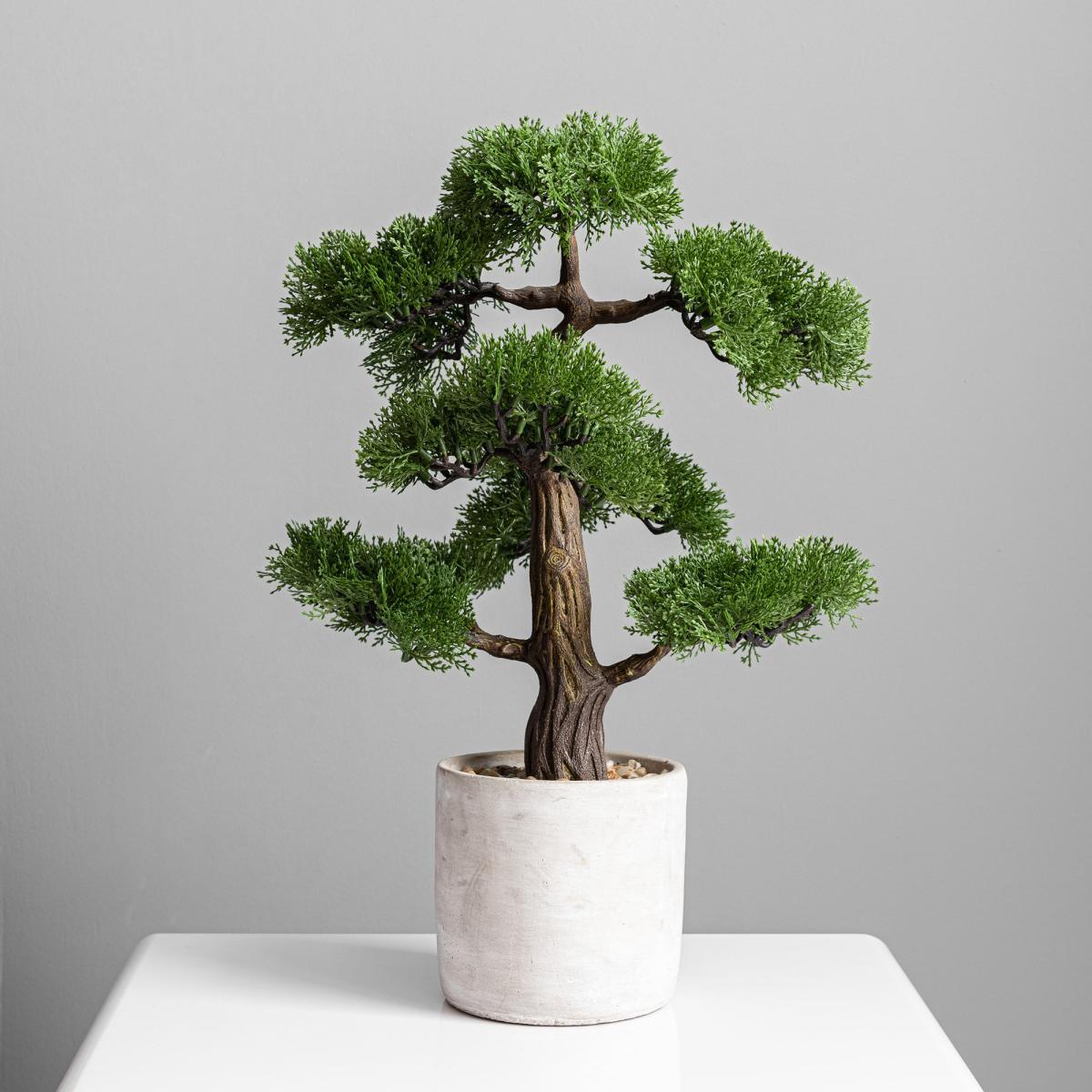 Bonsai Tree in Concrete Planter 53cm Green – image 4