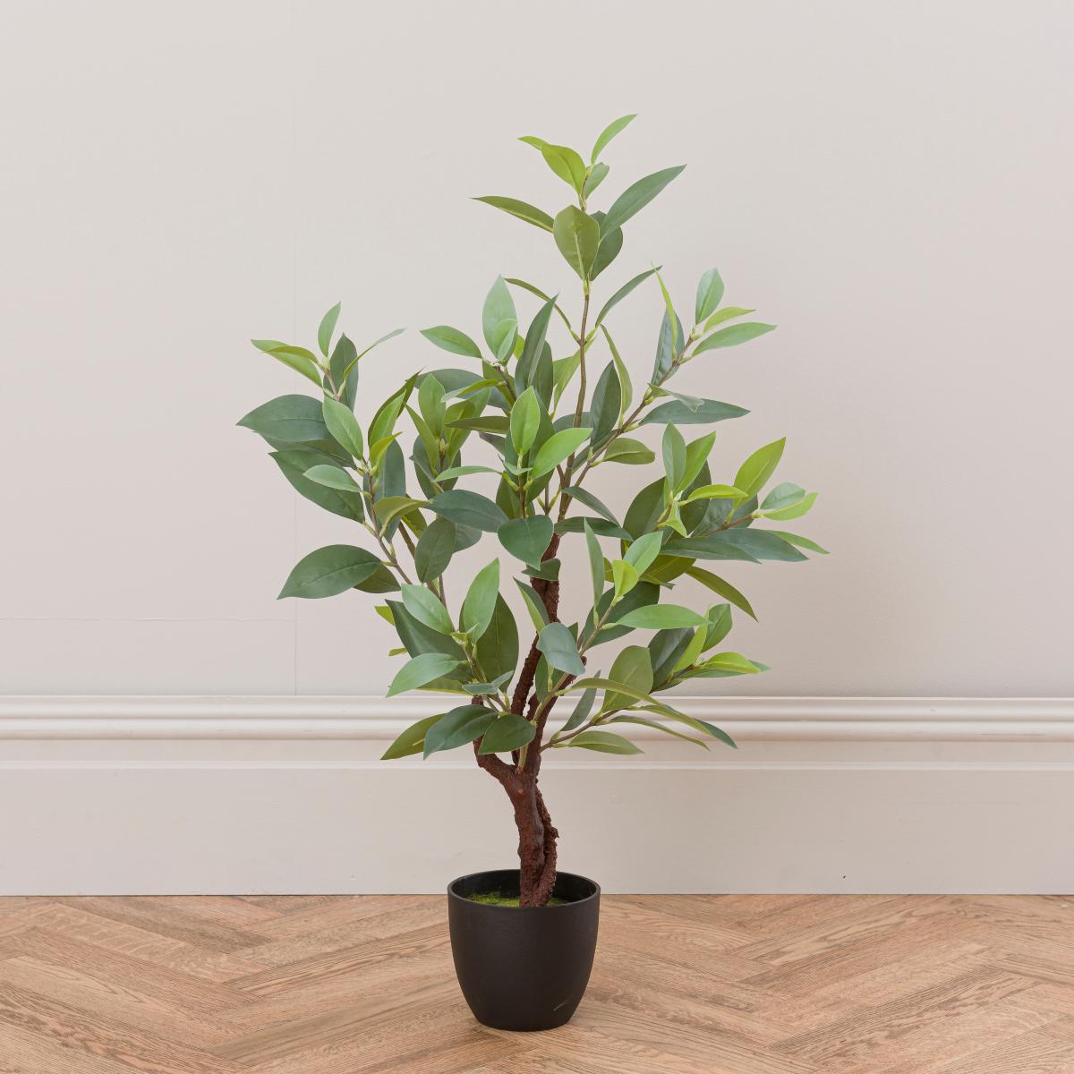 Artificial Sweet Bay Magnolia in Black Plastic Plant Pot Green – image 4