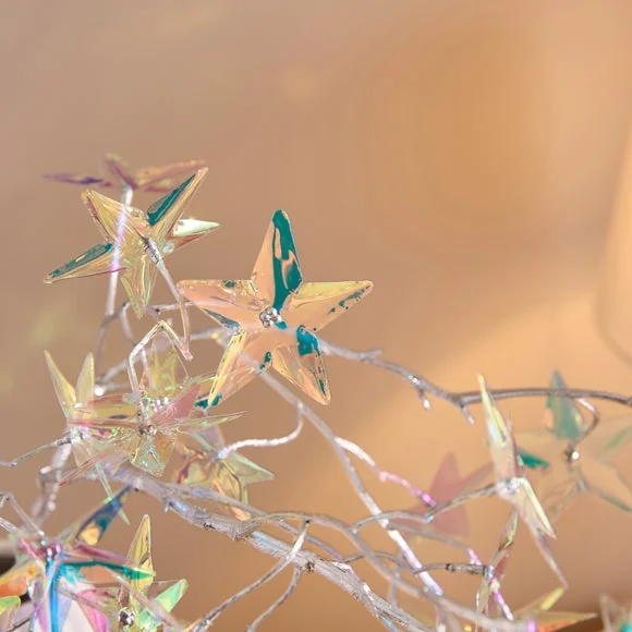 Iridescent Star Stem – image 2