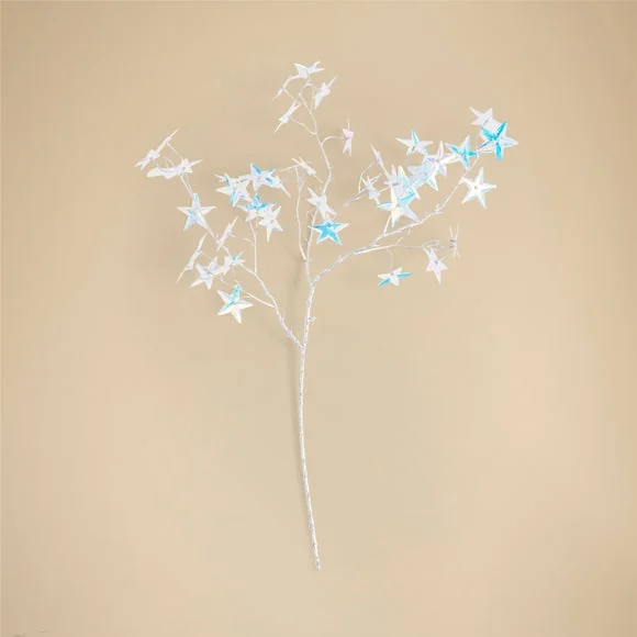 Iridescent Star Stem – image 3