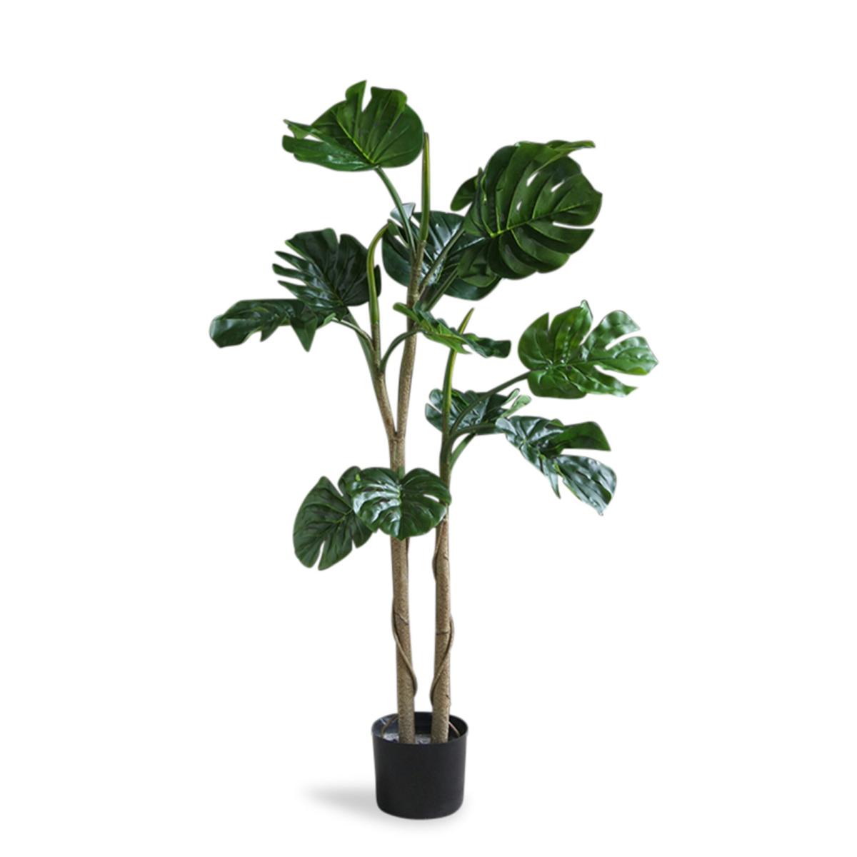 Premium Monstera 120cm Green – image 2
