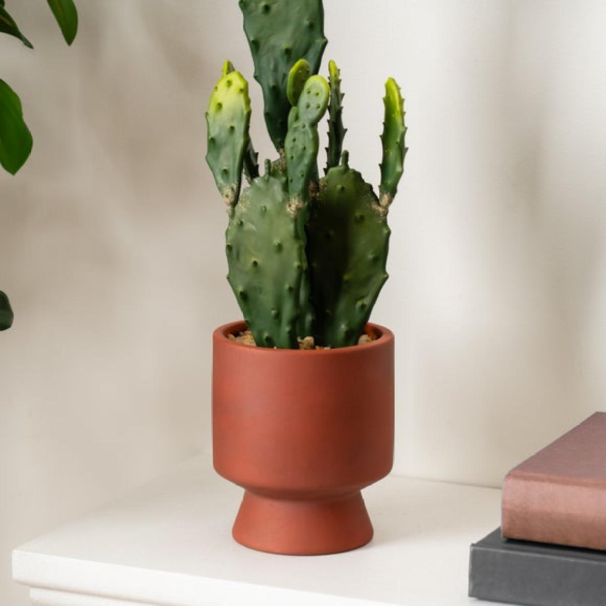 Artificial Tall Cactus in Ceramic Plant Pot – image 2