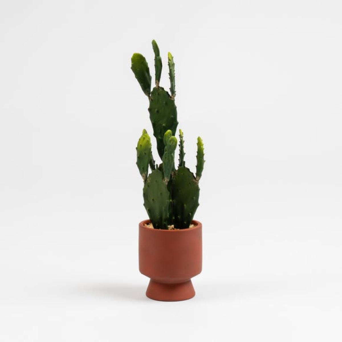 Artificial Tall Cactus in Ceramic Plant Pot – image 3