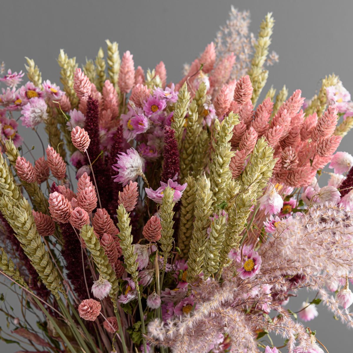 Dried Pink Phalaris Bouquet Pink – image 3