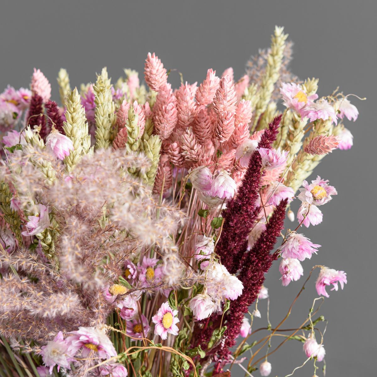Dried Pink Phalaris Bouquet Pink – image 4