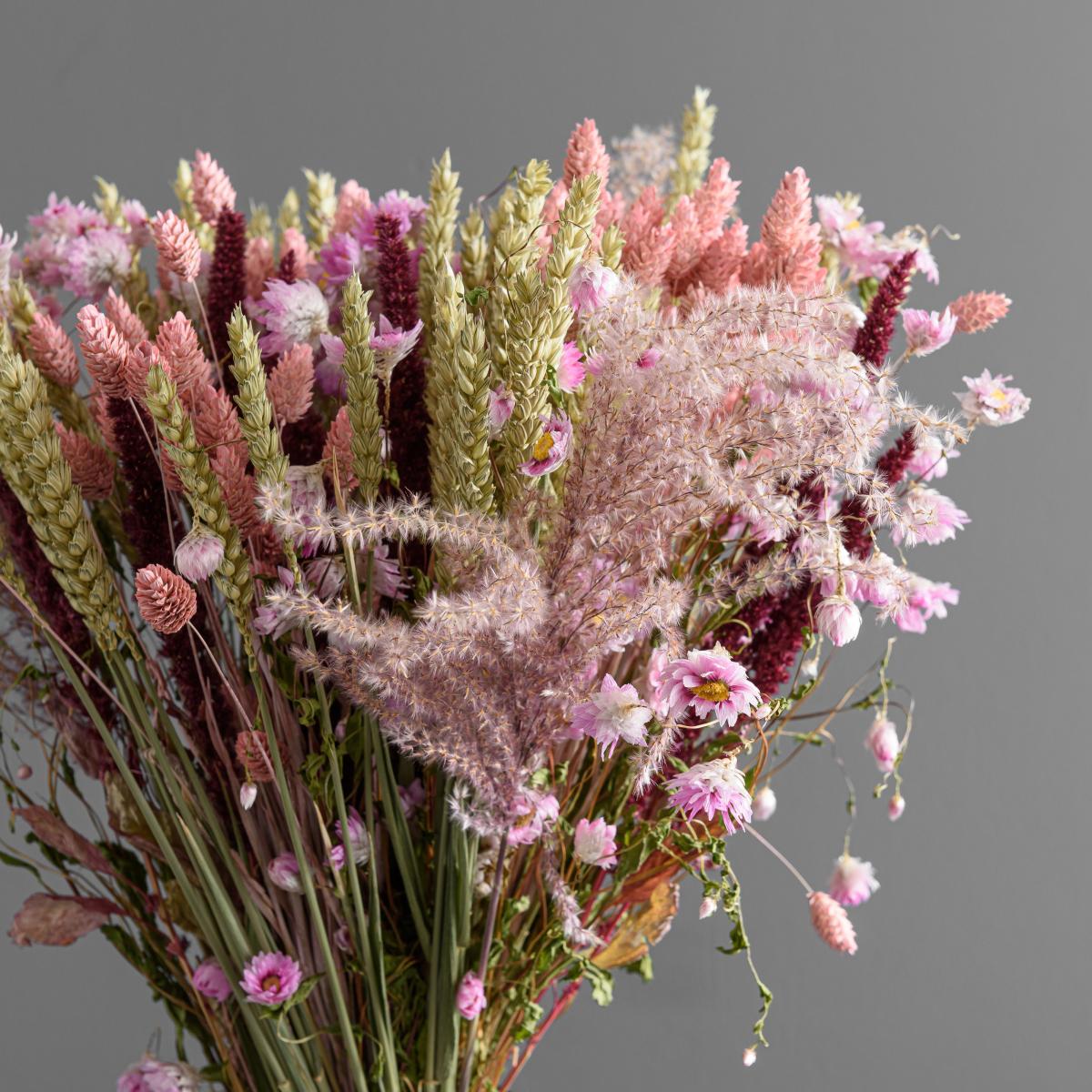 Dried Pink Phalaris Bouquet Pink – image 5