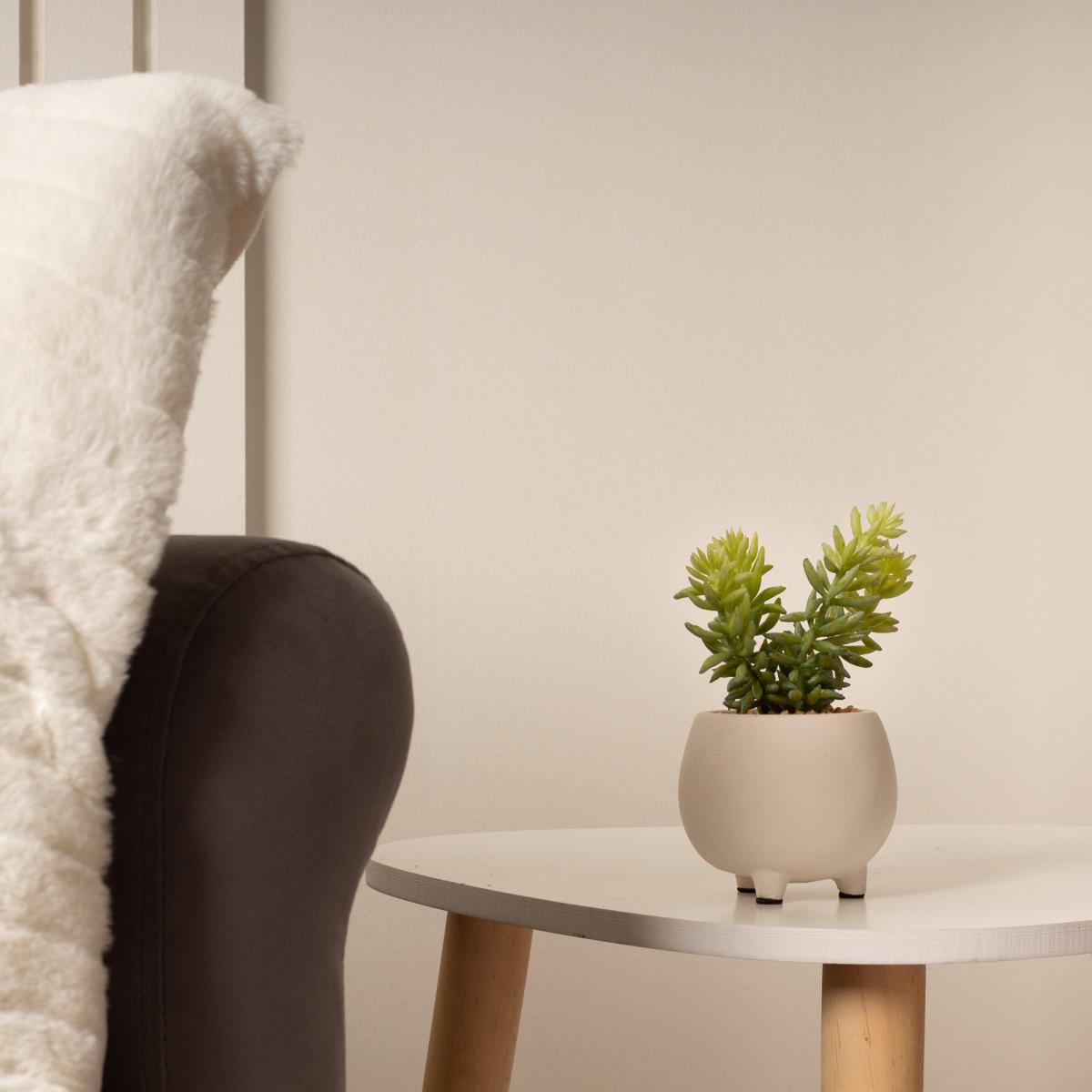 Artificial Set of 3 Succulents in Cream Cement Plant Pots Green – image 2