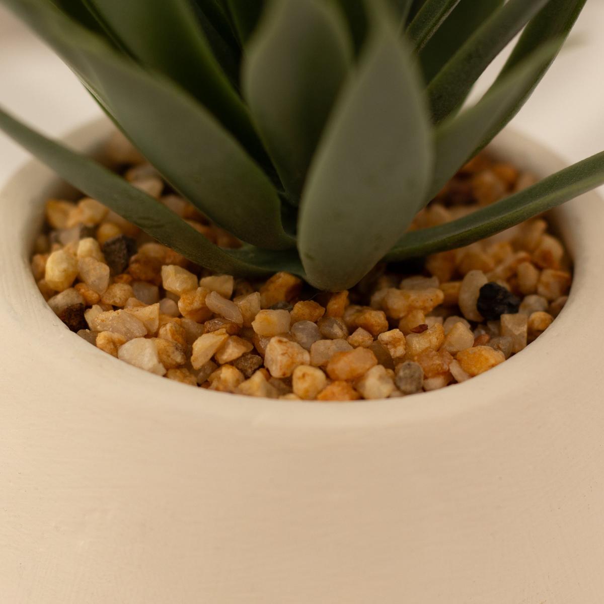 Artificial Set of 3 Succulents in Cream Cement Plant Pots Green – image 5