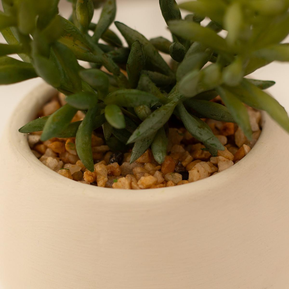 Artificial Set of 3 Succulents in Cream Cement Plant Pots Green – image 6