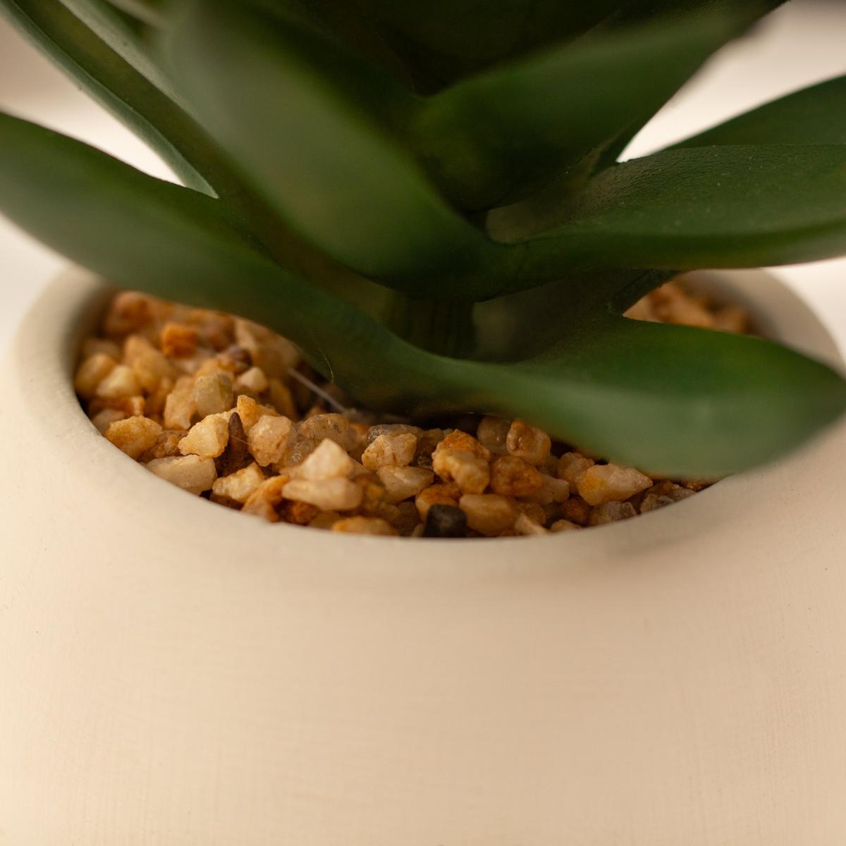 Artificial Set of 3 Succulents in Cream Cement Plant Pots Green – image 7