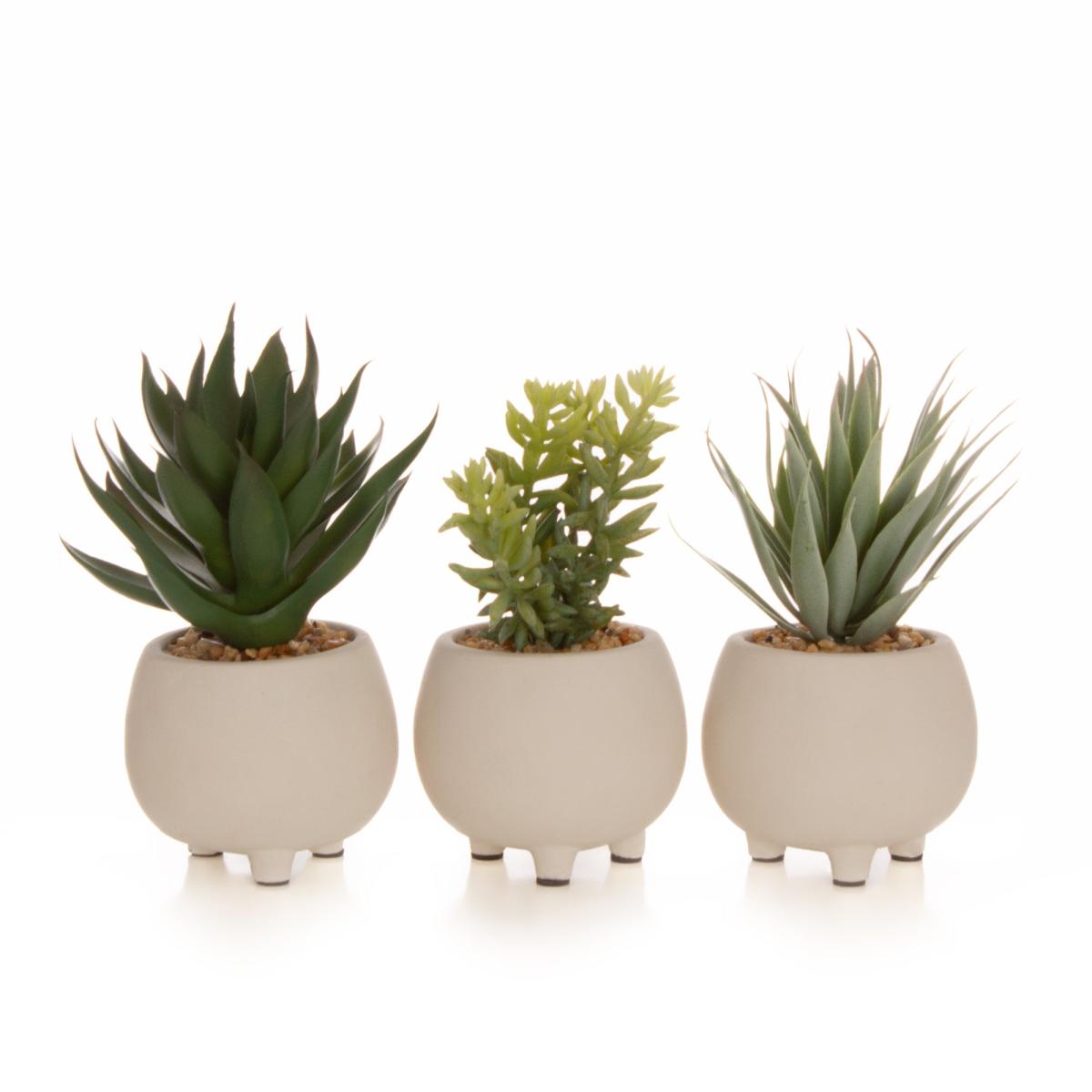 Artificial Set of 3 Succulents in Cream Cement Plant Pots Green – image 8