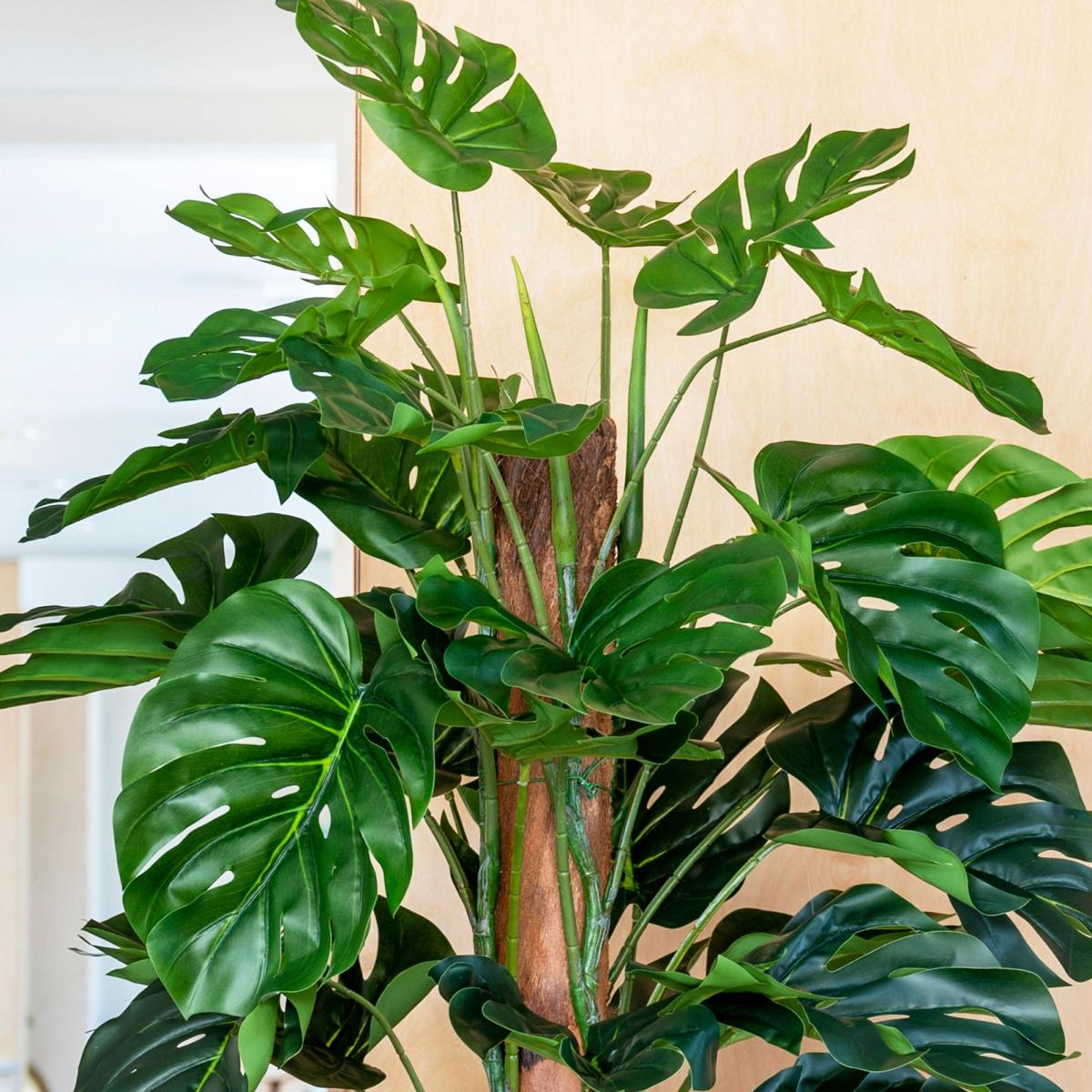 Artificial Swiss Cheese Plant on Moss Pole Green – image 2