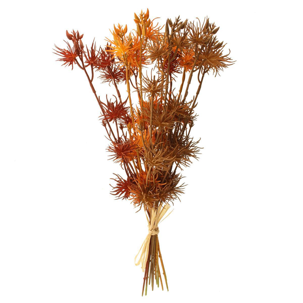 Pack of 6 Brown Witch Hazel Bundle Brown – image 3