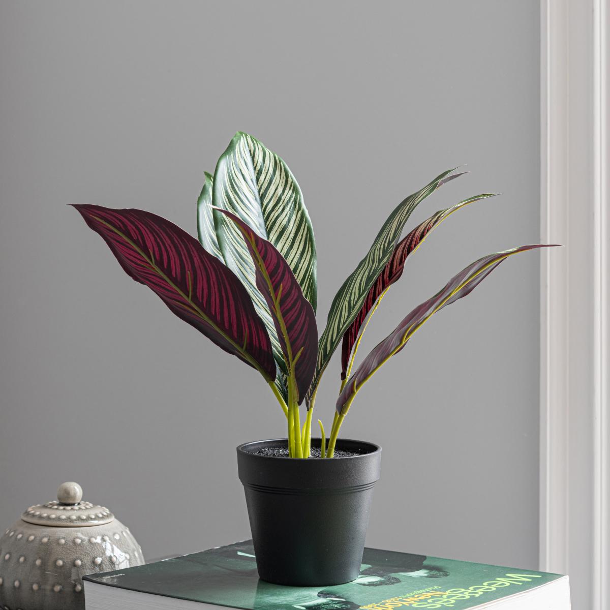 Artificial Chinese Evergreen in Black Pot 30cm Purple – image 2