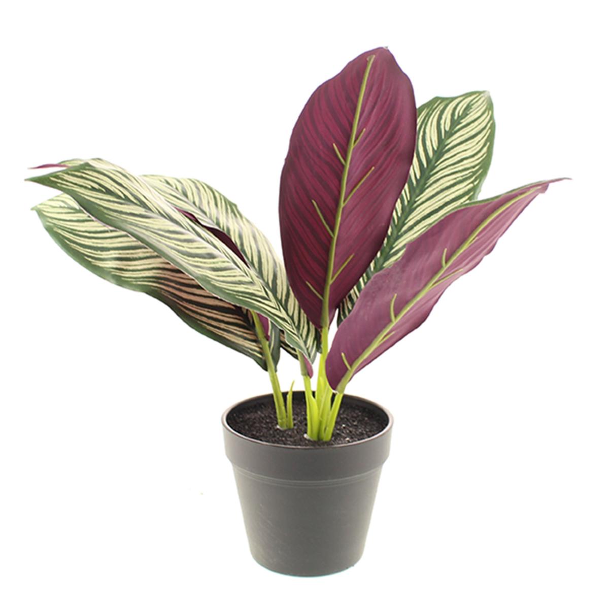 Artificial Chinese Evergreen in Black Pot 30cm Purple – image 3