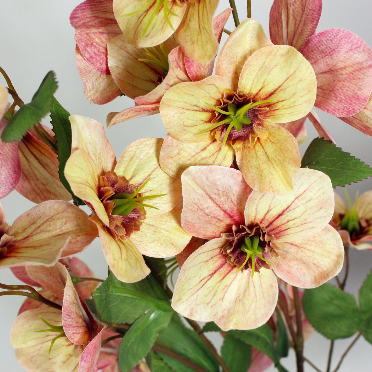 Peach Real Touch Hellebore 3 Pack Pink – image 2