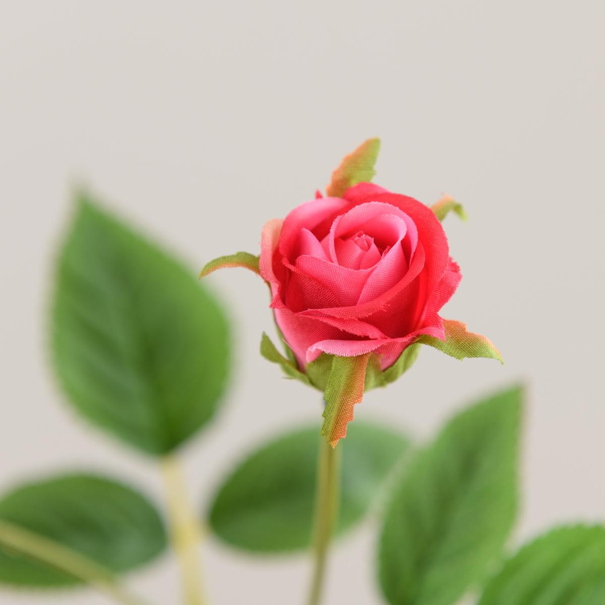Rose Magenta Spray 63cm Magenta (Pink) – image 3